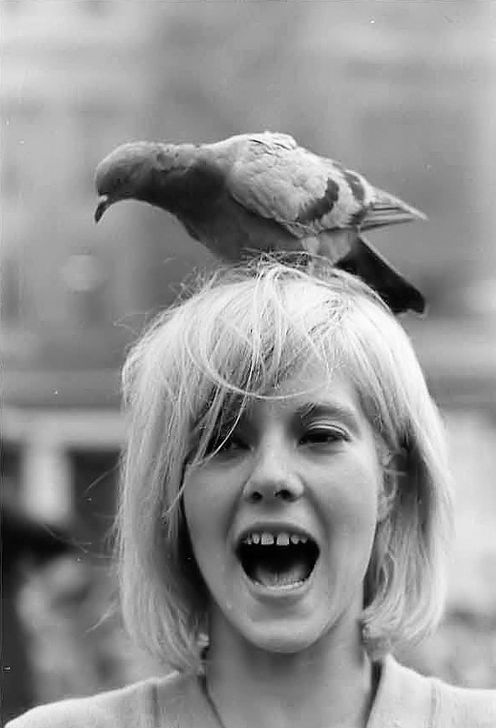 Sylvie_Vartan_45