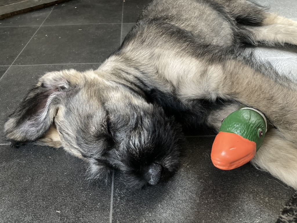 D96128D1-4E74-4974-8E60-226AD958BEFE_1_105_c