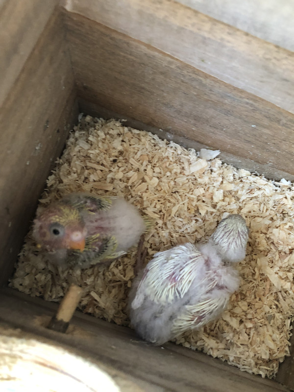 B3E1886D-B719-46CB-A1DB-5EED3BFA3583