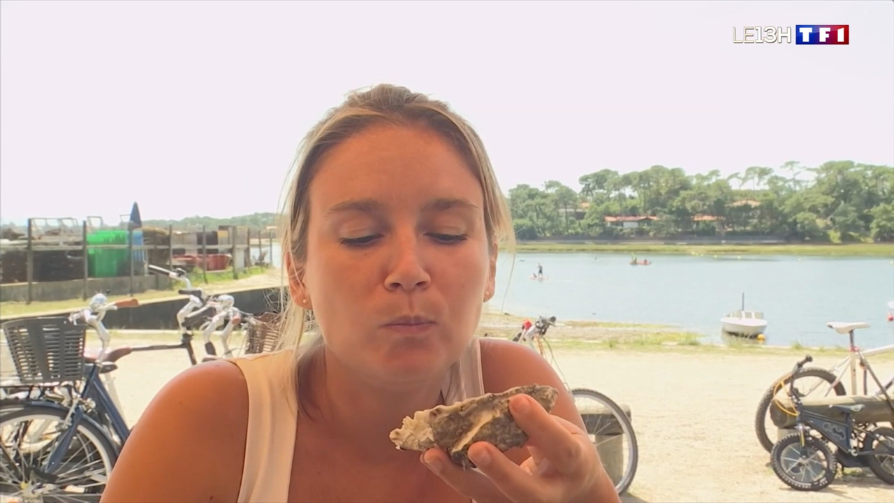 2021-08-09_13_00_TF1_Le-13h.mp4_snapshot_00.32.05.199