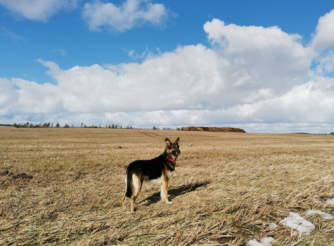 photo_2023-02-24_19-31-20