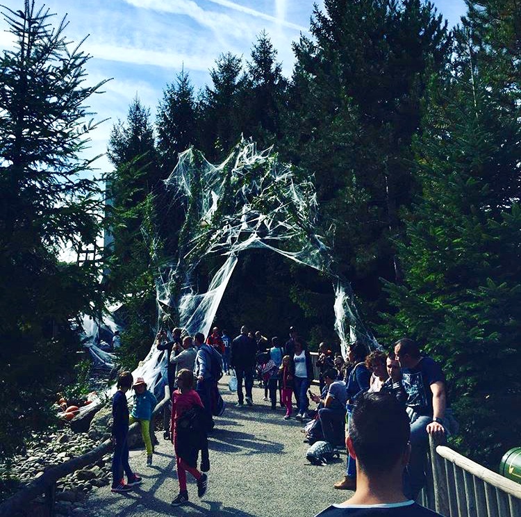 0C486F30-B6A5-4963-A71A-78473CD213A6