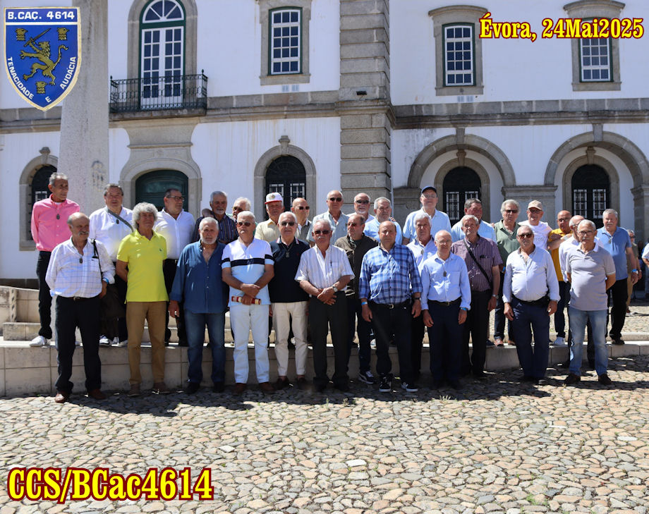 CCS-BCac4614