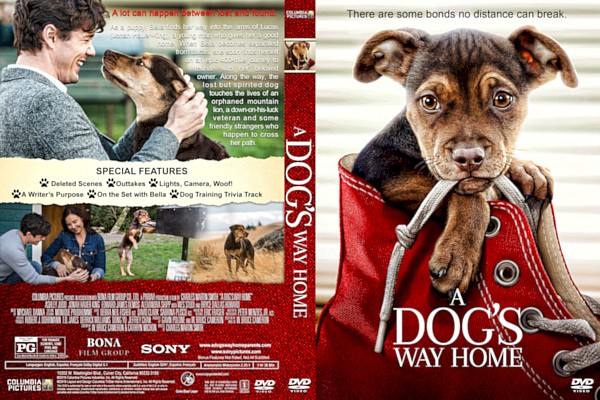 Re: Psí domov / A Dog's Way Home  (2019)