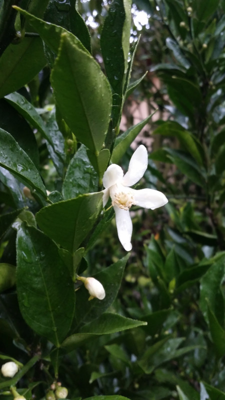 20190504_092844