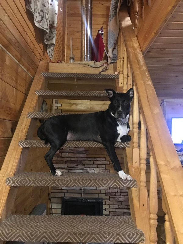 6FF3ADDD-F0E5-4D2F-9791-96FBD617D458