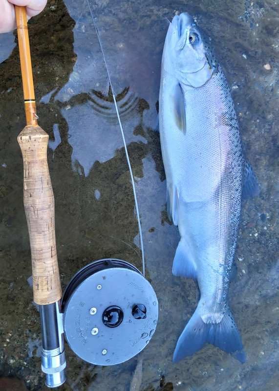 Resized_20231125_143557 (1)