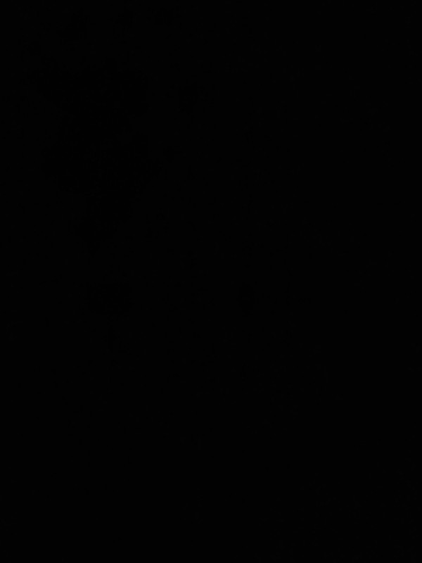 17679442676588932736213025495690