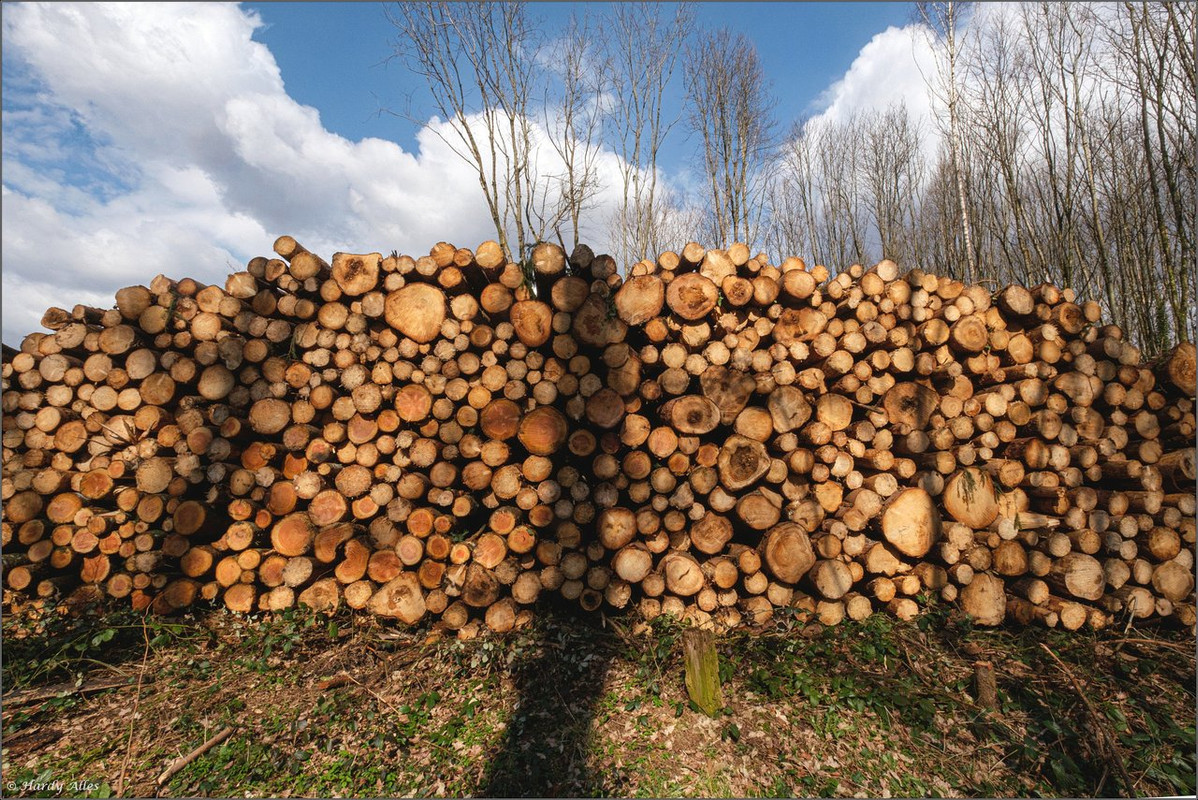 DSCF7503 2021 Ruhbach EBV  LR ERWZ FB