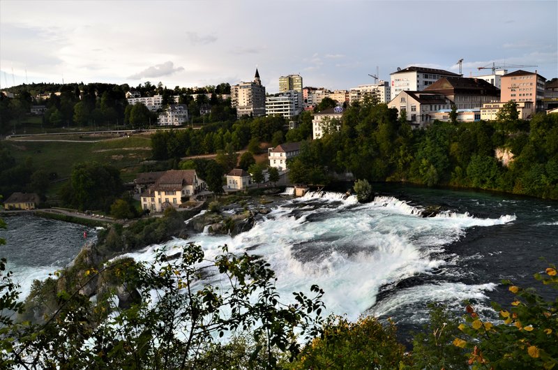 CATARATAS DEL RHIN-5-9-2019 - Suiza y sus pueblos-2019 (7)