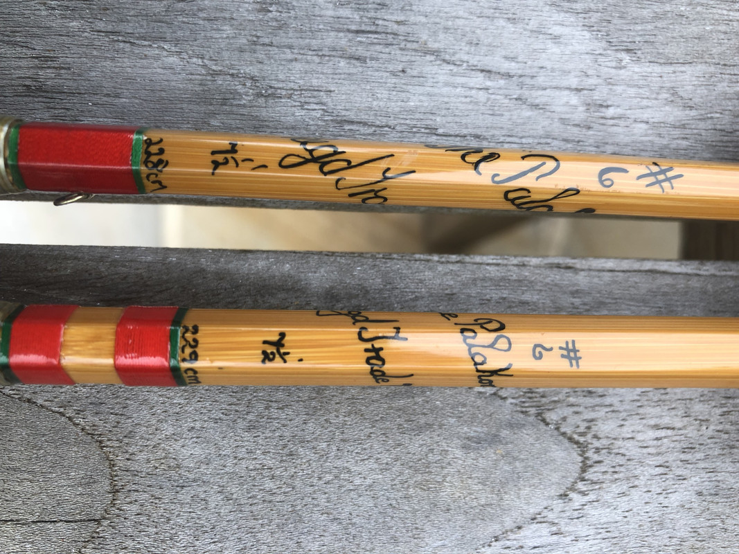 AFA66CC1-56A3-498E-97E4-EB5C54C35043