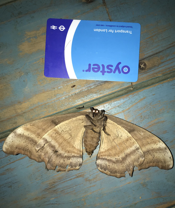 8AFE2A17-261B-4ABA-8BF6-FB68FCBE5D16