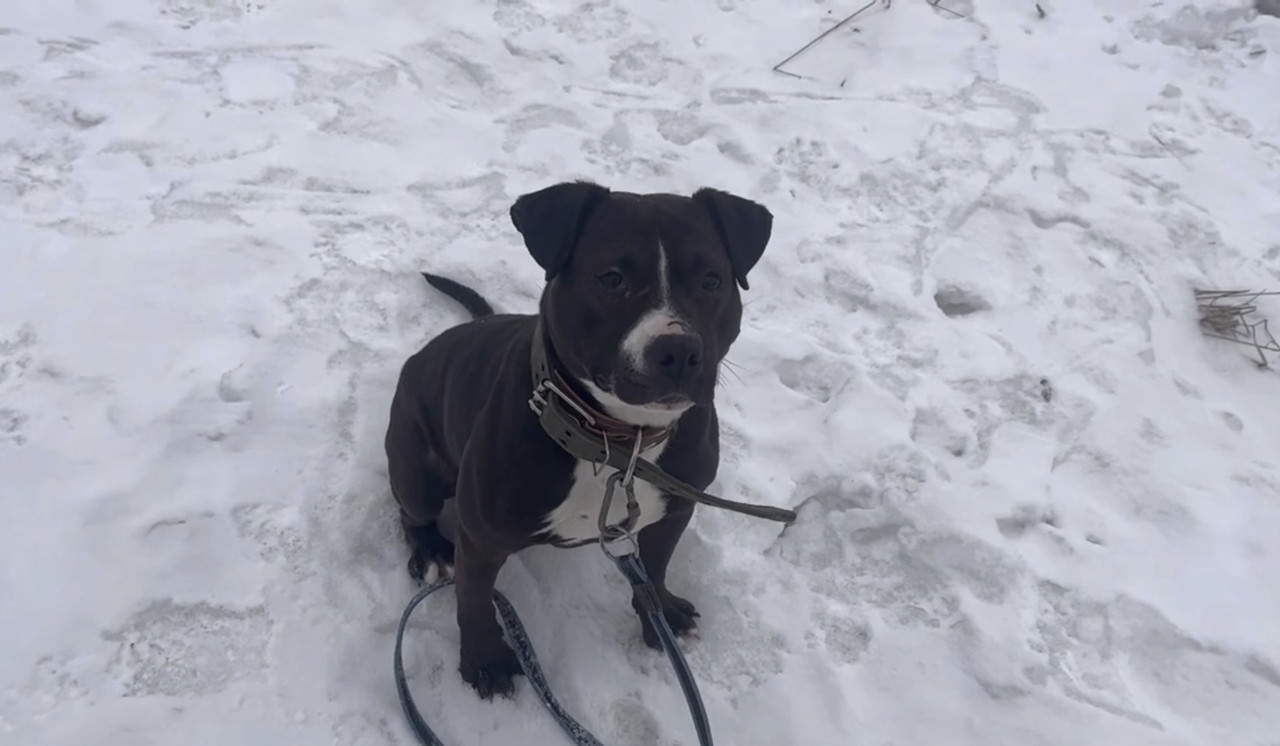 8F1B2022-734C-4A2E-913F-B749DD258752