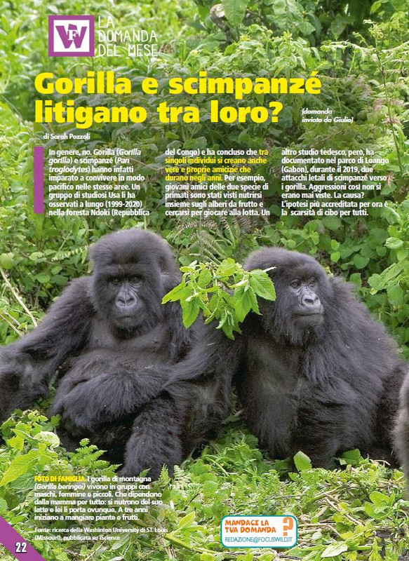 Foc Wil - Mag 2023 (1)