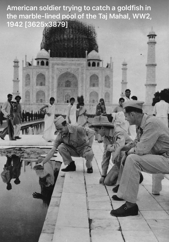 E400-A2-F2-0706-4-DCD-A58-B-4-E986-A5-F0