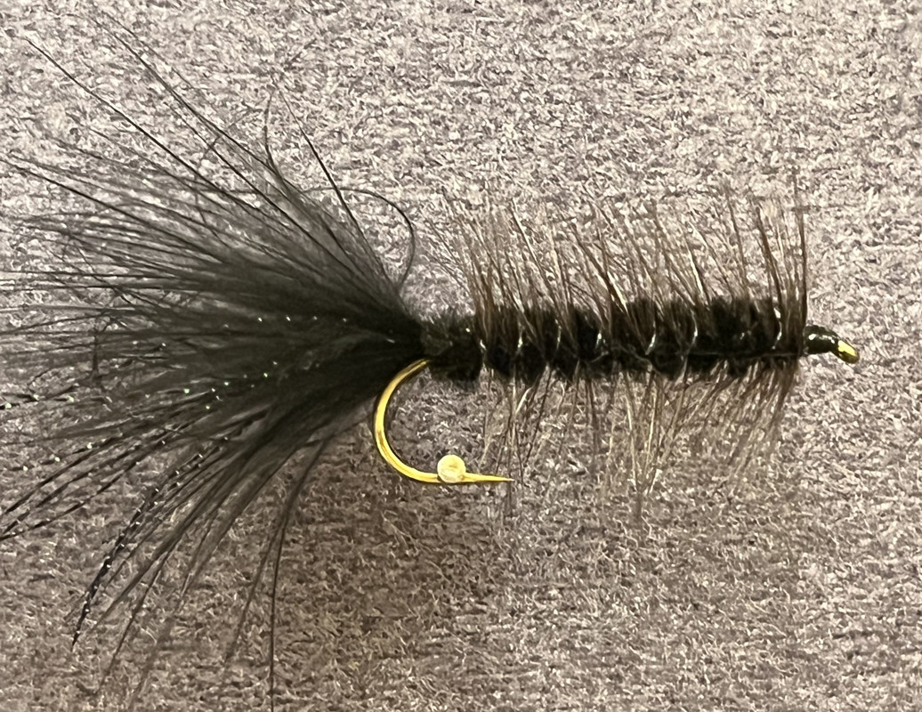 Black Woolly Bugger