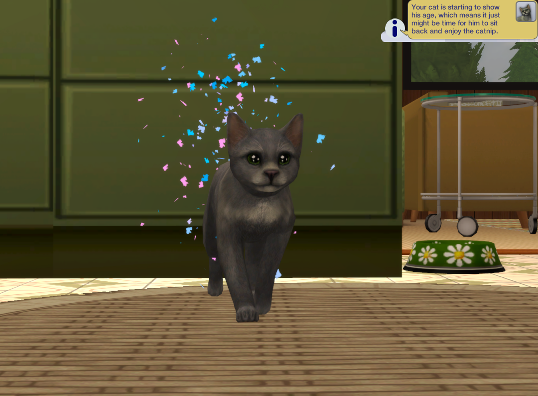 Sims2-EP9-RPC-2024-03-24-13-47-27-97