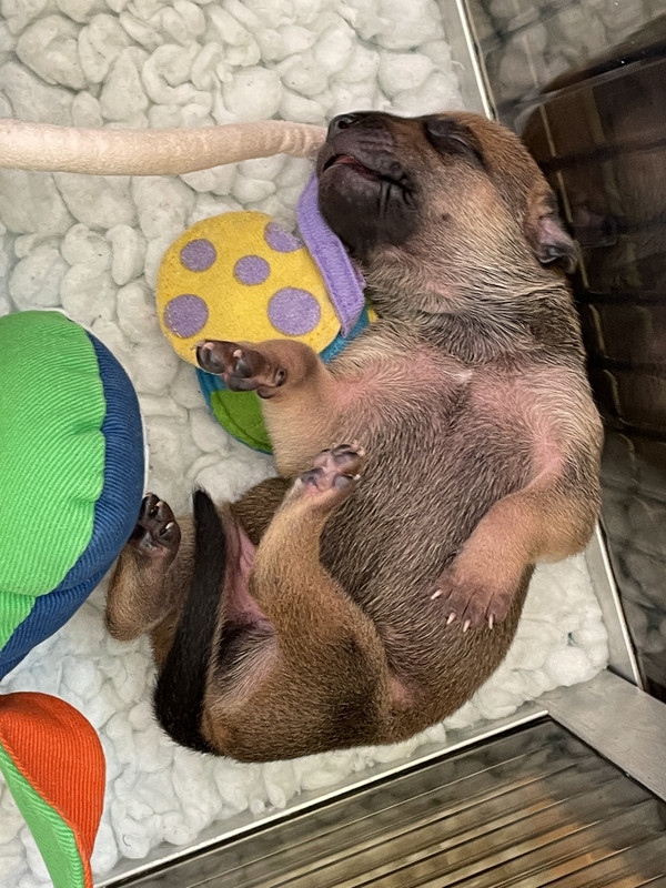 44281F05-885E-4444-8F37-EF77CD077119_1_201_a