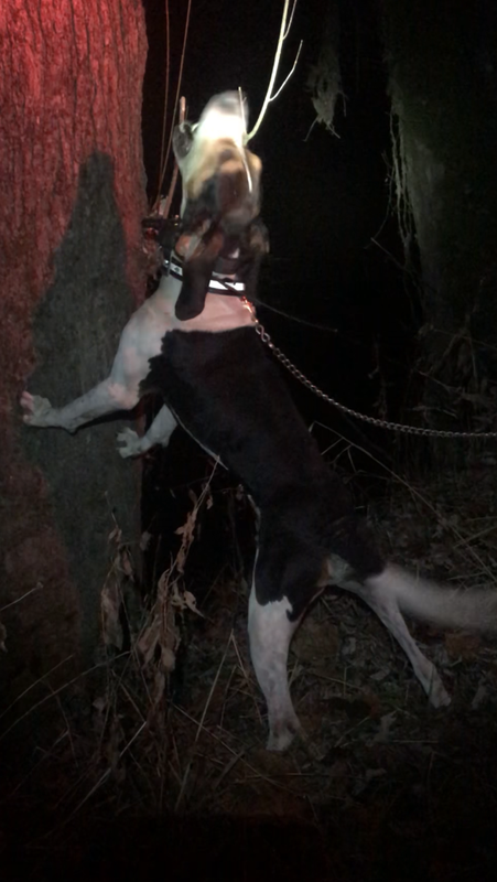 2BFC708C-EA60-45EF-B9F3-B9600595E1AE