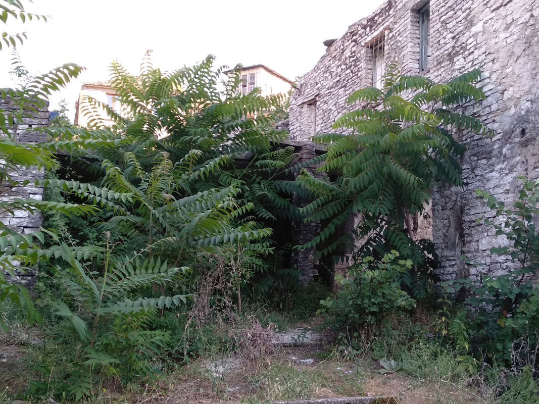 [Obrazek: IMG-20180707-180612.jpg]