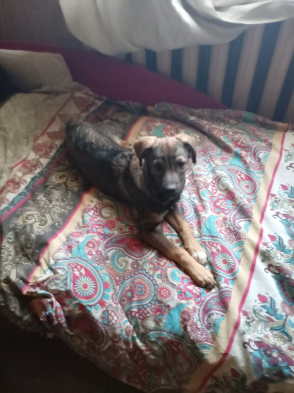 IMG 7bffc047e78d453482e11525d2e54911 V