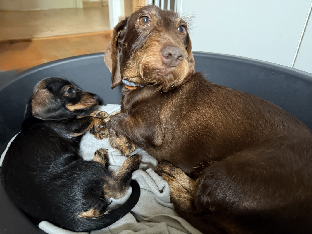 [Image: IMG-1705.jpg]