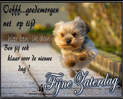 fijne-zaterdag