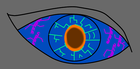 eyes-7.png