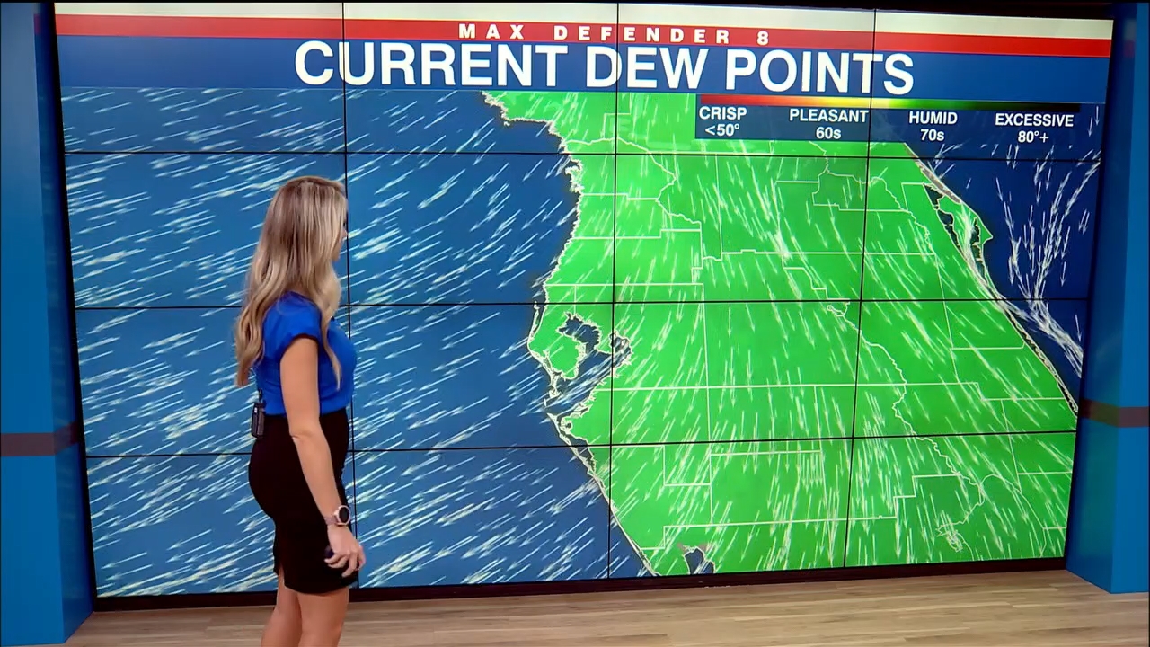 NewsChannel 8 Today at 7am_20230922_12001400.ts_snapshot_01.54.30.124
