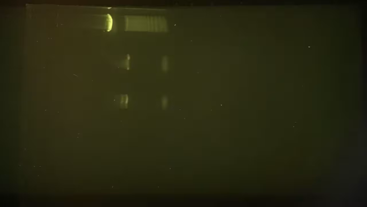 Cyber Green & Gel Electrophoresis (2) (2021)