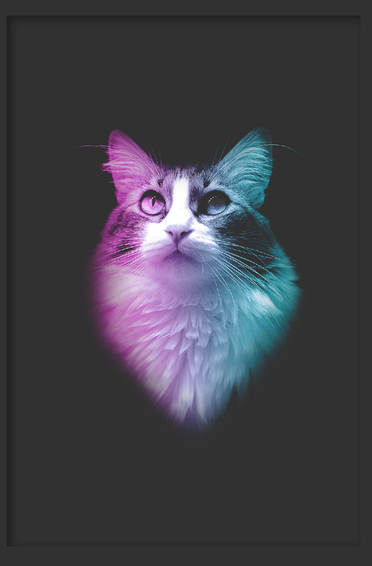 multicatface.png
