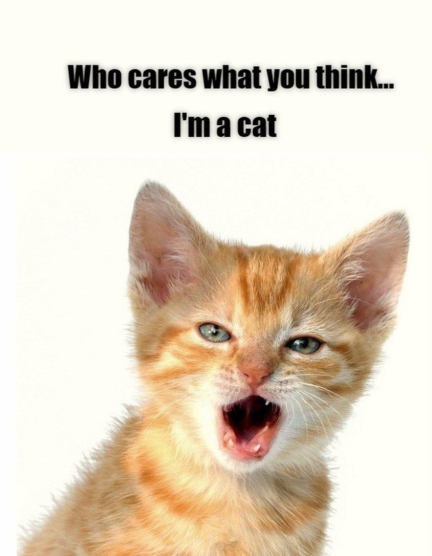 i-dont-care