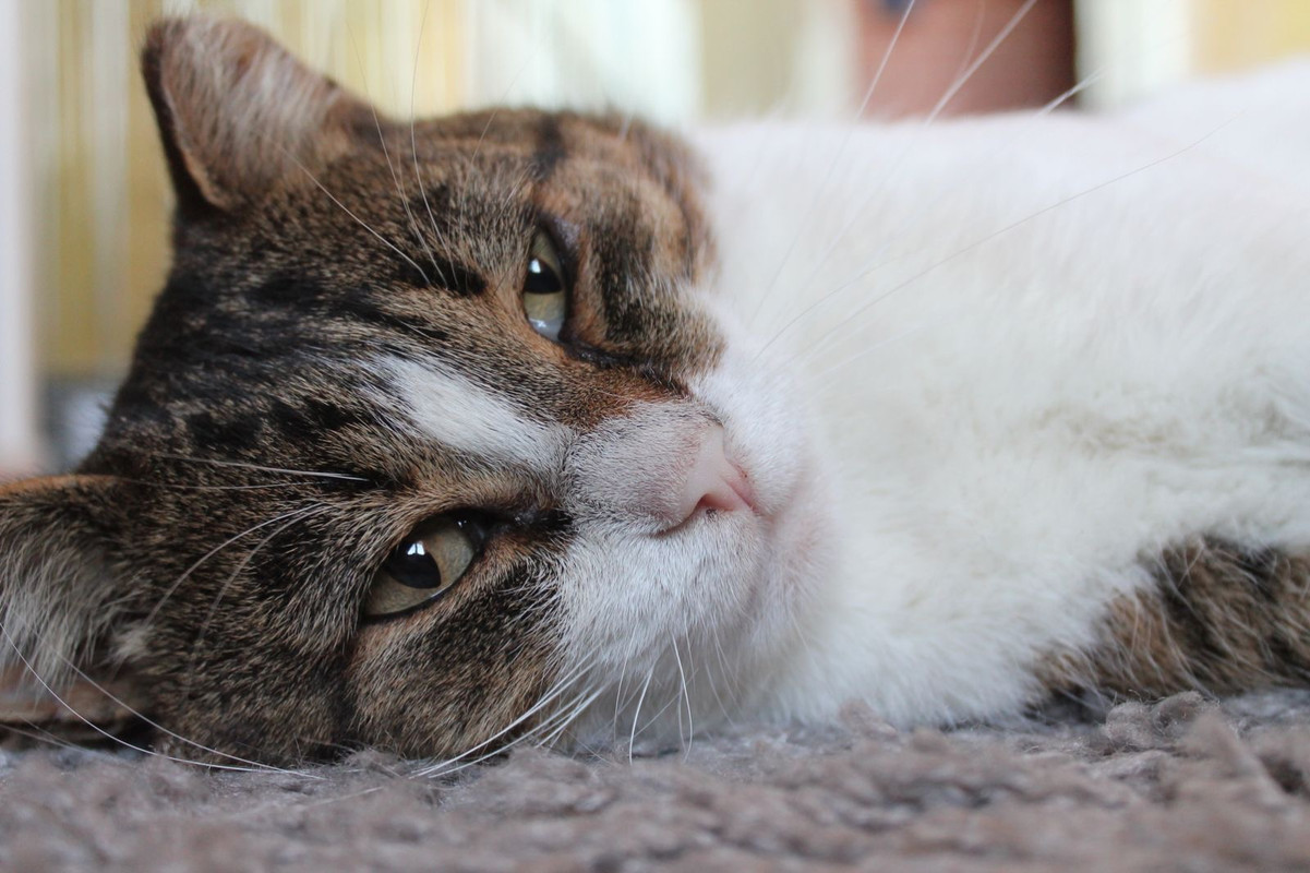 9EB56F35-295B-434F-9C67-4D665234325B