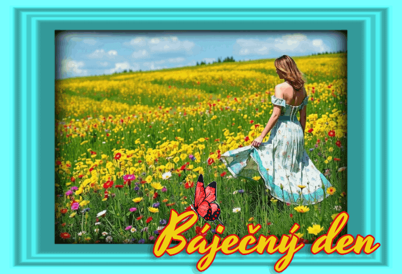bajecn