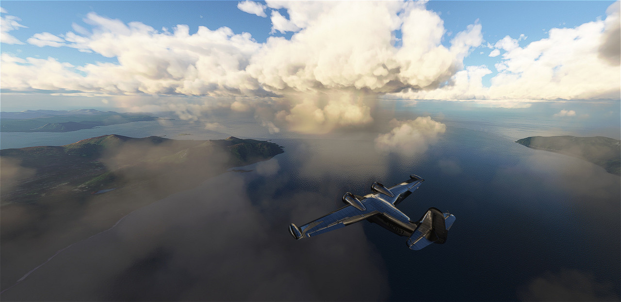 Goose-20.jpg