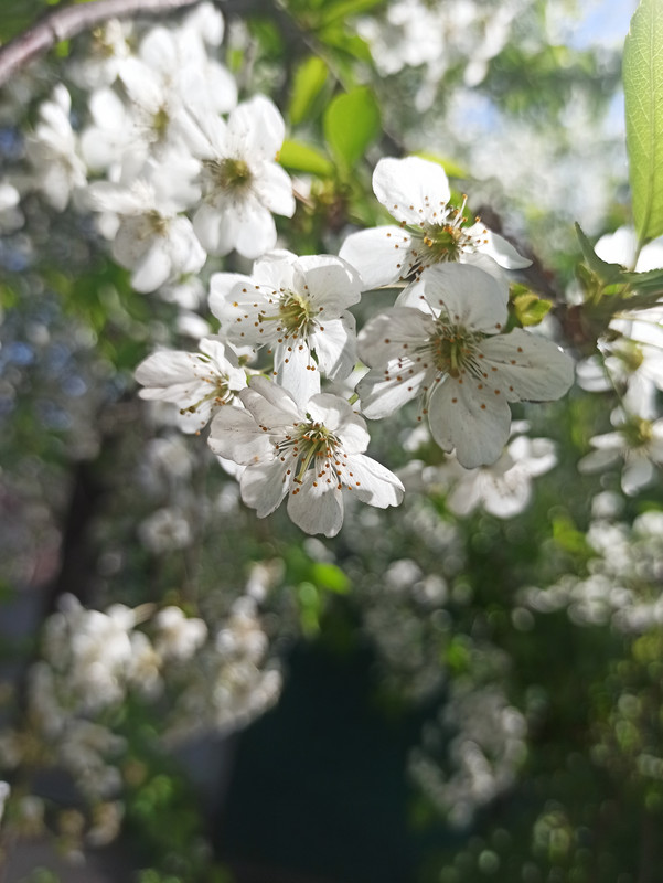 IMG_20220422_104905