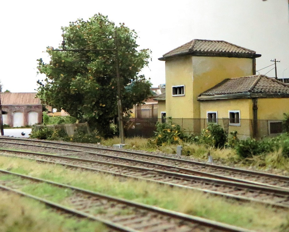 IAMG_5772 (309)_proc_proc