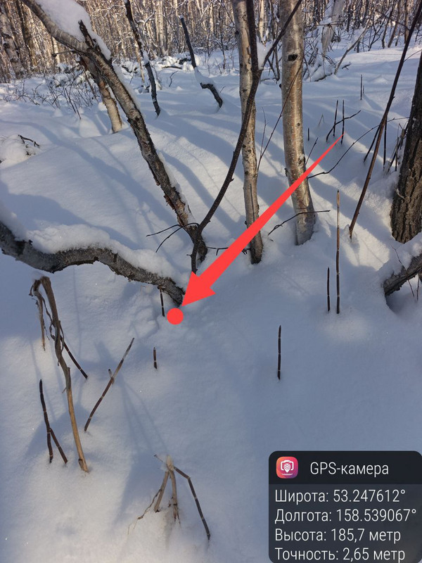 IMG 20251229 131359 228