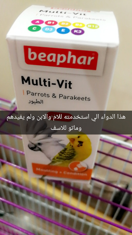 Snapchat-896361080