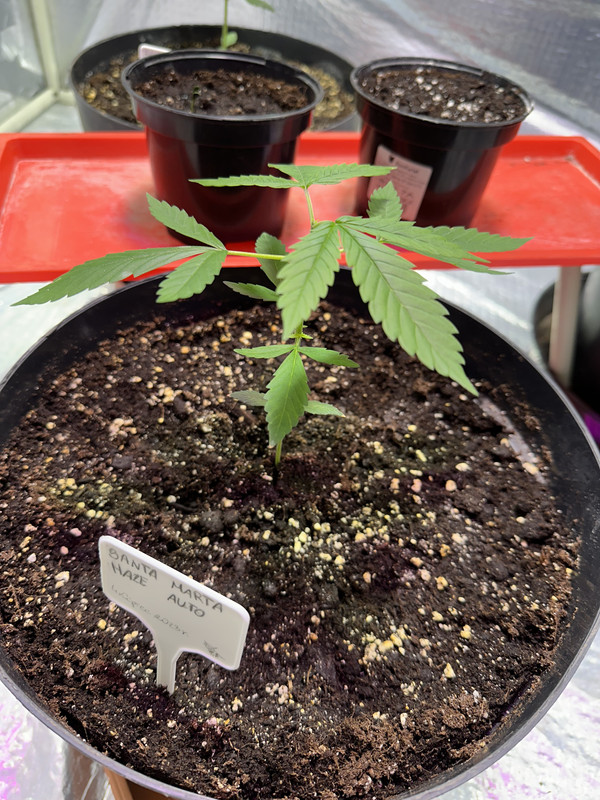 93F6801E-11AC-4DDD-A177-E3124A2DEC00