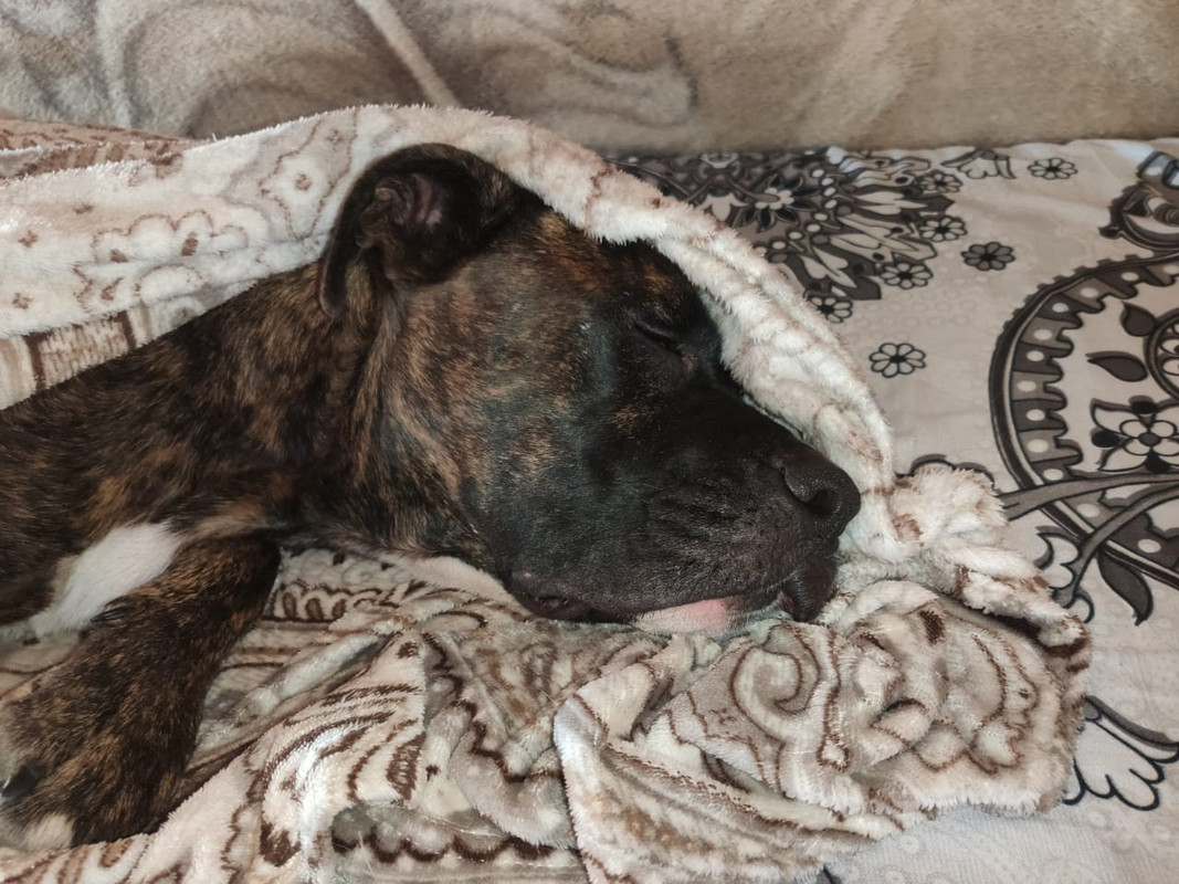 00200F06-3874-48BD-A755-71E7123229A7