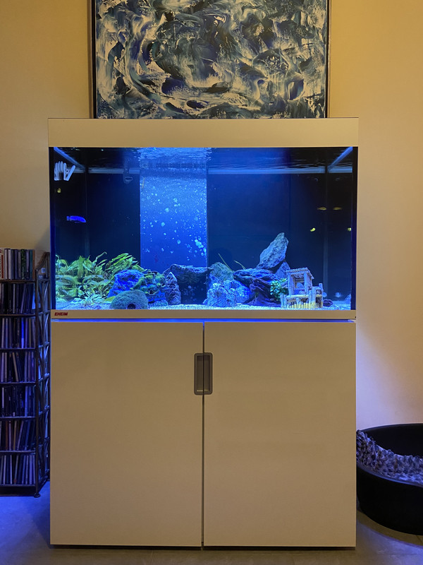 FFFB1632-F780-41C0-8872-3AA85A9B5693