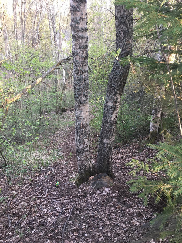 FFA35977-985F-4E01-A104-A08B30FACAC9