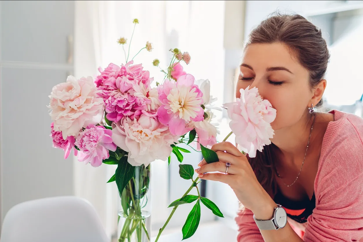 ¿Qué plantas debo tener en mi casa para atraer el amor este 14 de febrero?