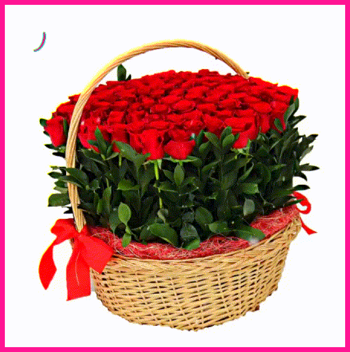 oie-2115537-Thvz-HWZi-1