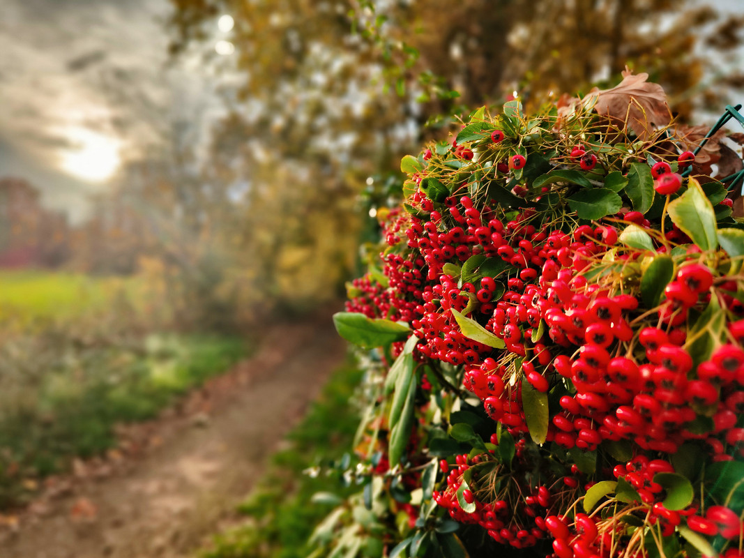 Lumii 20251104 155356813