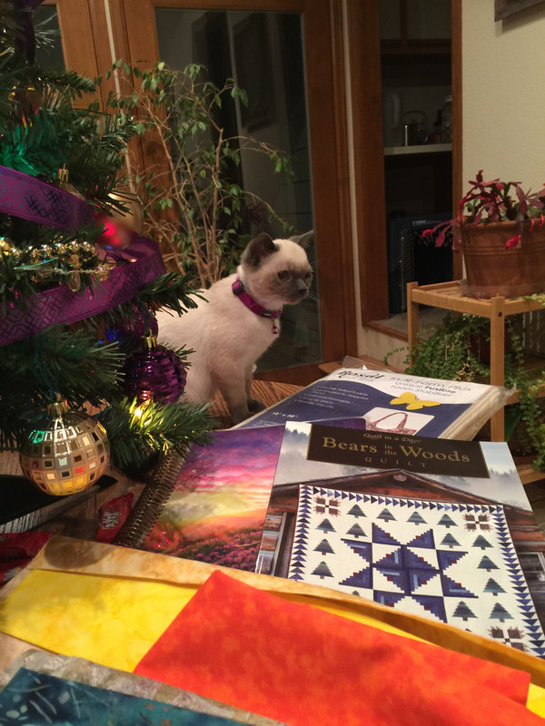 9A607F08-A022-47BA-8D2E-3262EFFAE929