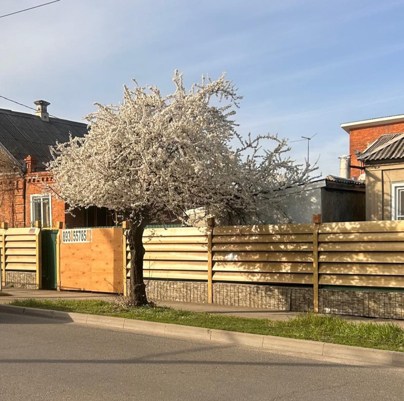 Screenshot_20250315_181734_WhatsApp