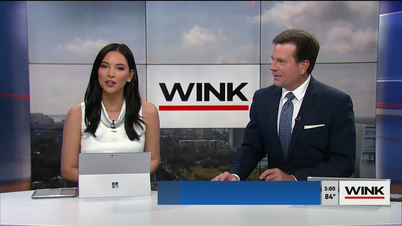 02.17 - 20.00.00 - WINK News at 3pm  ᴺᵉʷ..ts_snapshot_00.06.54.121