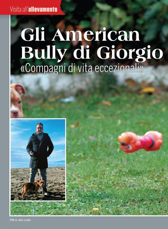 Il M C Mar 2023 (11)